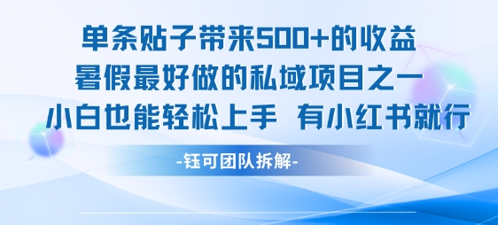 单条贴子带来5张的收益，暑假最好做的私域项目之一，小白也能轻松上手，有小红书就行-董叔项目网