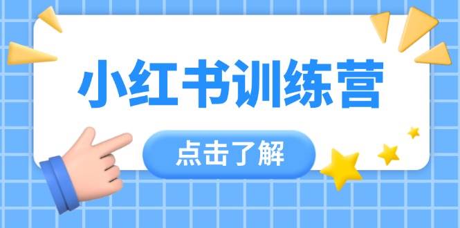 小红书训练营，助小白入门，掌握技巧变达人，课程实操又全面(12节课)-董叔项目网
