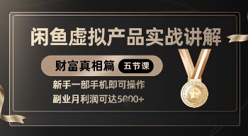 精品!闲鱼虚拟产品实战讲解,新手一部手机即可操作,副业月利润可达5k+-董叔项目网