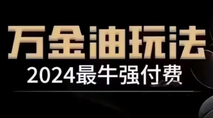 2024最牛强付费，万金油强付费玩法，干货满满，全程实操起飞(更新25年04月)-董叔项目网