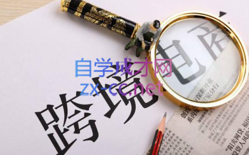 帮课大学VIP会员课程(更新2025年)-董叔项目网