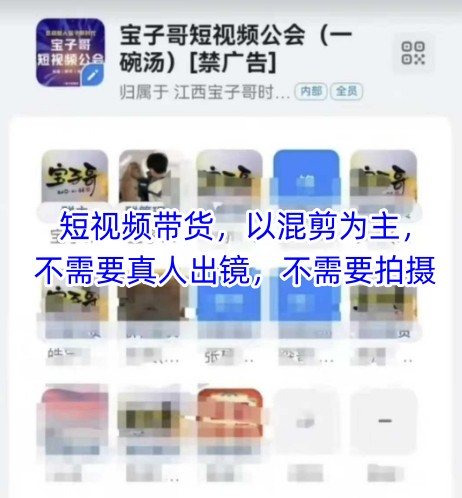 宝子哥头部团队短视频带货，以混剪为主，不需要真人出镜，不需要拍摄【更新6月】-董叔项目网