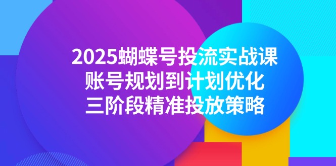 2025蝴蝶号投流实战课，账号规划到计划优化，三阶段精准投放策略-董叔项目网