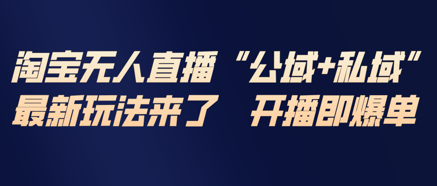 淘宝无人直播最新玩法，包含私域和公域两种玩法-董叔项目网