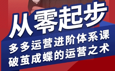 拼多多运营进阶系统课，从零起步，多多运营进阶体系课，破茧成蝶的运营之术-董叔项目网