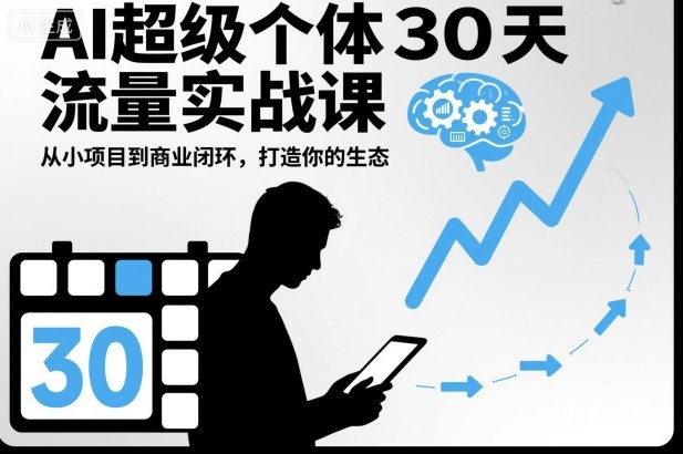 AI超级个体30天流量实战课，从小项目到商业闭环，打造你的生态-董叔项目网