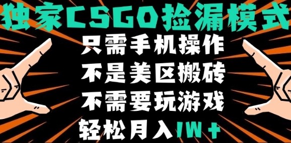 CSGO自动捡漏项目，最新独家玩法，不是美区搬砖，不需要了解和玩游戏，新手小白轻松月入1W+【揭秘】-董叔项目网