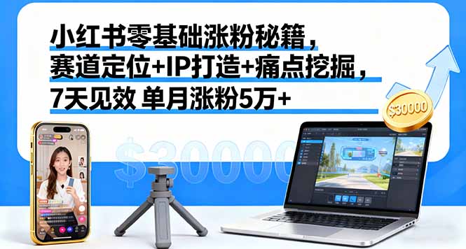 小红书零基础涨粉秘籍，赛道定位+IP打造+痛点挖掘，7天见效 单月涨粉5万+-董叔项目网