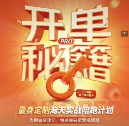 淘宝开单秘籍PRO,量身定制淘天实战陪跑计划,告别做店迷茫、快速突破运营瓶颈期(更新6月)-董叔项目网