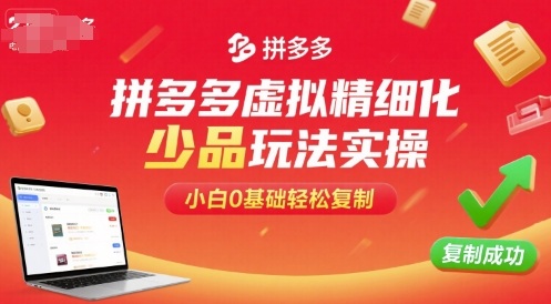 拼多多虚拟精细化少品玩法实操,小白0基础轻松复制-董叔项目网