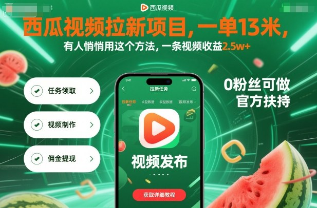 西瓜视频拉新项目,一单13米,有人悄悄用这个方法,一条视频收益2.5w+(附详细教程)-董叔项目网