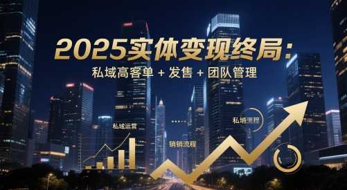 2025实体变现终局:私域高客单+发售+团队管理-董叔项目网