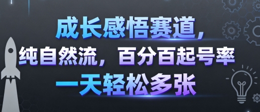 成长感悟赛道，纯自然流，百分百起号率 一天轻松多张-董叔项目网