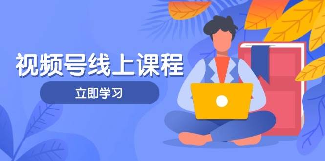 视频号实战课程，轻IP打造与运营技巧，掌握核心方法与策略-董叔项目网