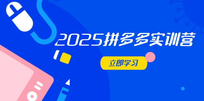 2025拼多多实训营：深度剖析运营关键，助力电商人快速提升-董叔项目网