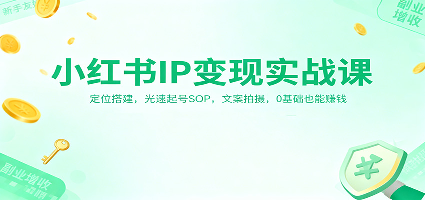 小红书IP变现实战课：定位搭建，光速起号SOP，文案拍摄，0基础也能赚钱-董叔项目网