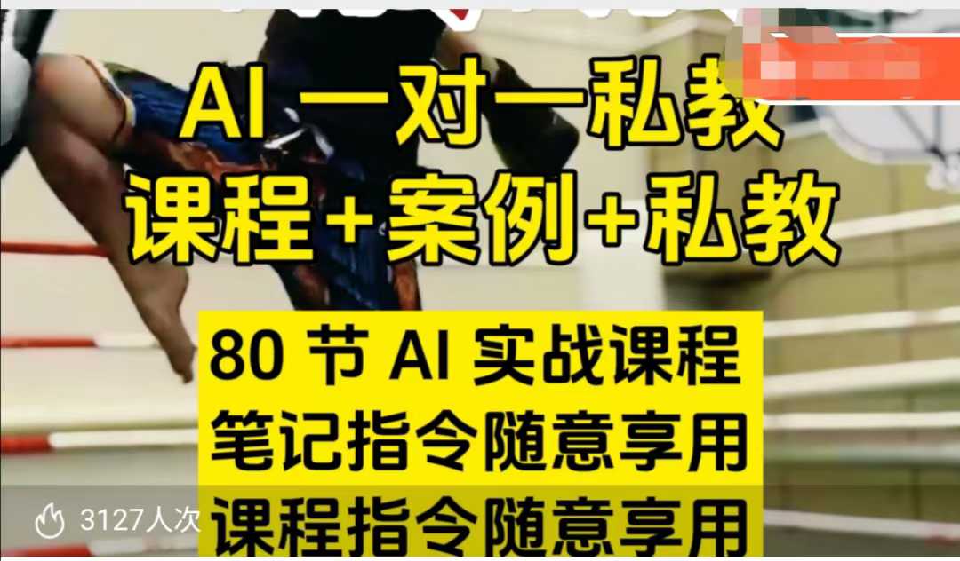 AI指令实战课，课程+案例，80节AI实战课程，笔记指令随意享用，课程指令随意享用(更新7月)-董叔项目网