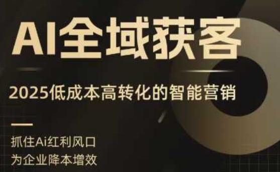 AI全域获客实训营，2025低成本高转化的智能营销，精准找客，高效营销-董叔项目网