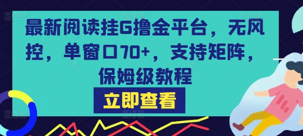 最新阅读挂G撸金平台，无风控，单窗口70+，支持矩阵，保姆级教程【揭秘】-董叔项目网