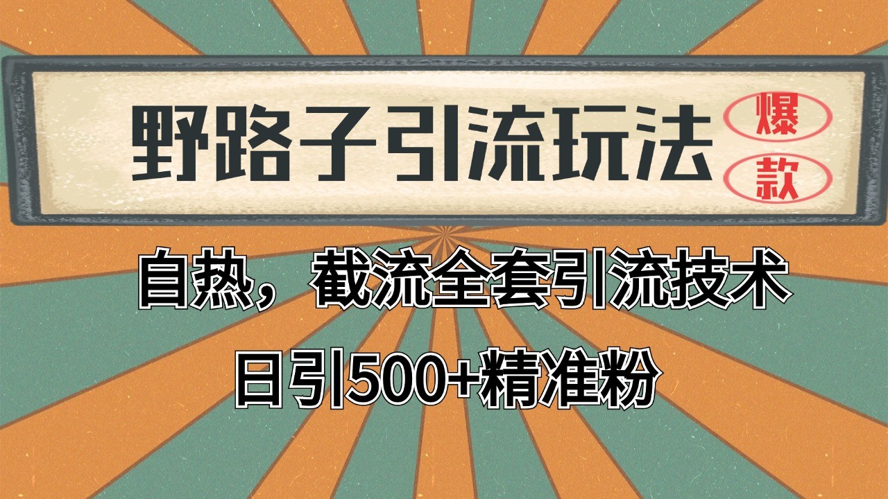 2024首发野路子引流玩法截流自热全平台打法，全自动引流【日引2000+精准客户】-董叔项目网