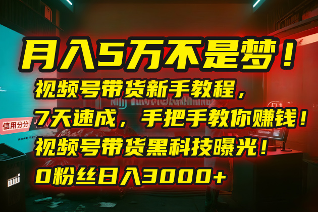 月入5万不是梦！视频号带货新手教程，7天速成，手把手教你赚钱！视频号...-董叔项目网