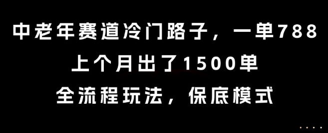 中老年赛道冷门路子，一单788，上个月出了1500单，全流程玩法，保底模式【揭秘】-董叔项目网