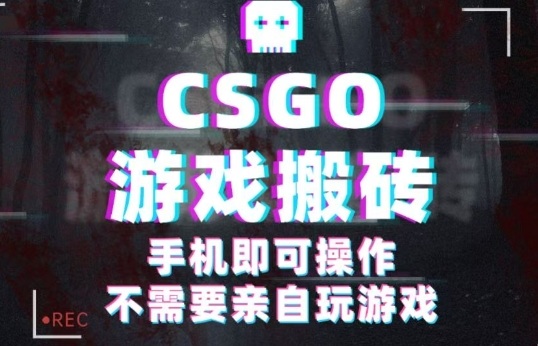 CSGO游戏挂G捡漏，单日扫货5张+，年底小高峰上车可吃肉，手机即可操作，兼职副业创业网创【揭秘】-董叔项目网