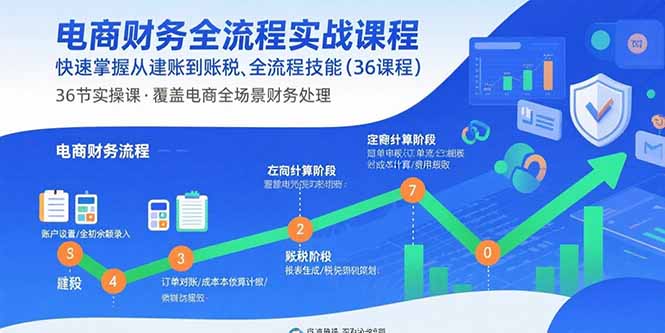 电商财务全流程实战课程:快速掌握从建账到报税的全流程技能(36节课-董叔项目网