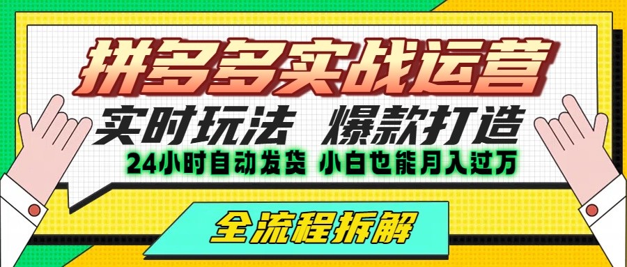 拼多多最新实战运营高投产：长久稳定项目，单店利润一天三位数-董叔项目网