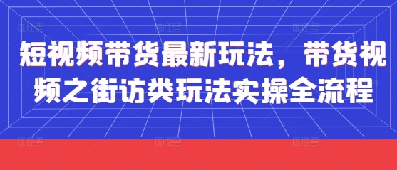 短视频带货最新玩法,带货视频之街访类玩法实操全流程-董叔项目网