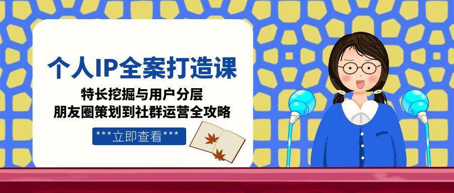 个人IP全案打造课，特长挖掘与用户分层，朋友圈策划到社群运营全攻略-董叔项目网