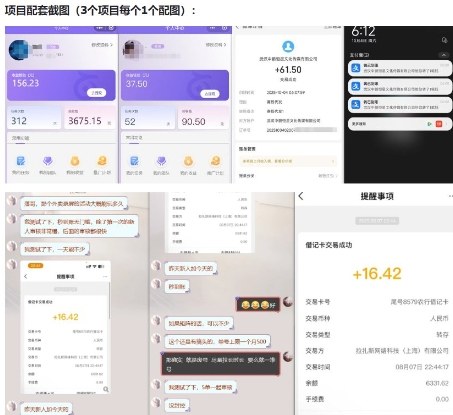 当天能收益的3个小项目拆解_包括平台+操作流程-董叔项目网