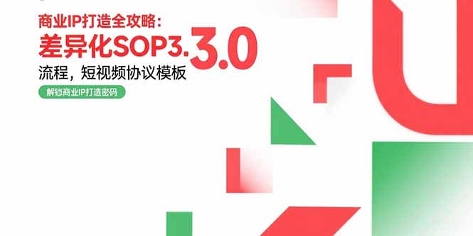 商业IP打造全攻略:差异化SOP3.0流程,短视频协议模板,婚恋项目实战案例-董叔项目网