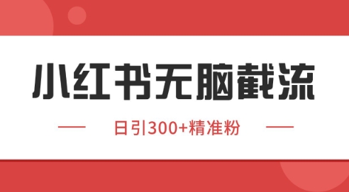 小红书截流同行客源，独家野路子获客玩法 日引200+暴力获客【揭秘】-董叔项目网