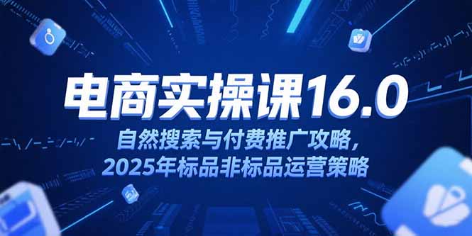 淘宝电商运营课16.0，自然搜索与付费推广攻略，2025年标品非标品运营策略-董叔项目网