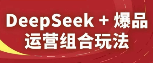 DeepSeek+爆品运营组合玩法，2025淘系精品课-董叔项目网