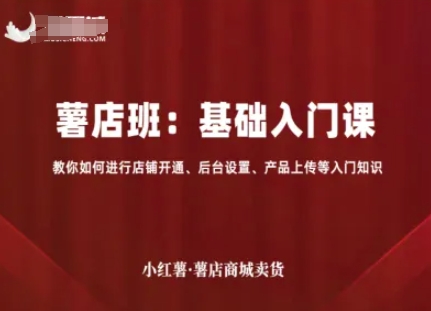 小红薯薯店商城卖货，基础入门课，教你如何进行店铺开通、后台设置、产品上传等入门知识-董叔项目网