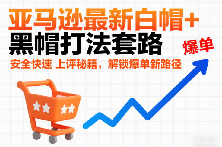 亚马逊最新白帽+黑帽打法套路，安全快速上评秘籍，解锁爆单新路径-董叔项目网