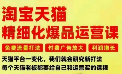 淘宝天猫精细化爆品运营课,免费流量打法-付费广告放大-利润增长-三大核心痛点,一次全部解决-董叔项目网