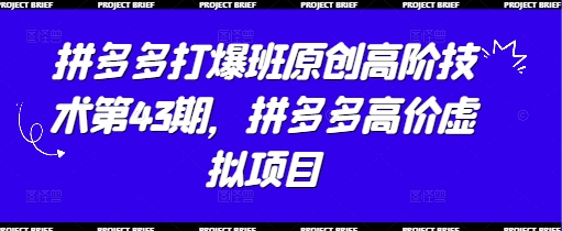 拼多多打爆班原创高阶技术第43期，拼多多高价虚拟项目-董叔项目网