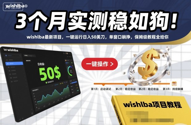 3个月实测稳如狗！wishlba最新项目，一键运行日入50美刀，单窗口躺挣，保姆级教程全给你【揭秘】-董叔项目网