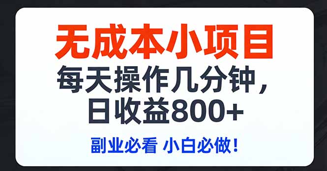 无成本小项目,每天操作几分钟,日收益800+ 副业必看 小白必做!-董叔项目网