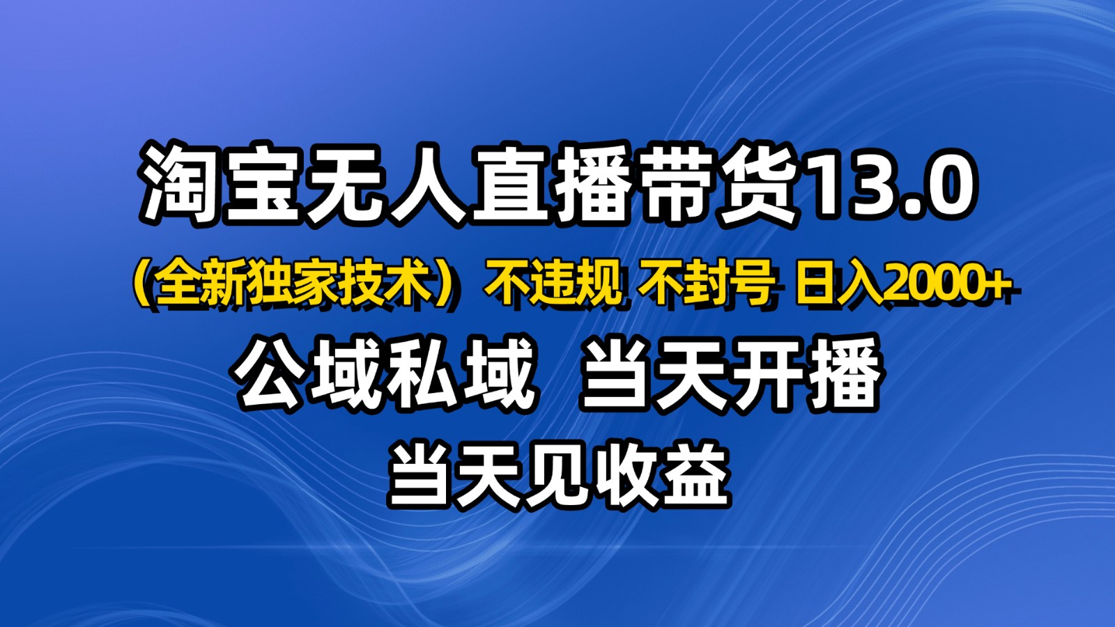 淘宝无人直播13.0，公域私域技术，不封号，不违规 布局下半年旺季赛道，日入2000+-董叔项目网