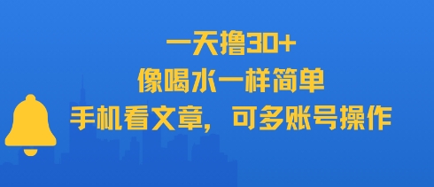 一天撸30+，像喝水一样简单，手机看文章，可多账号操作-董叔项目网