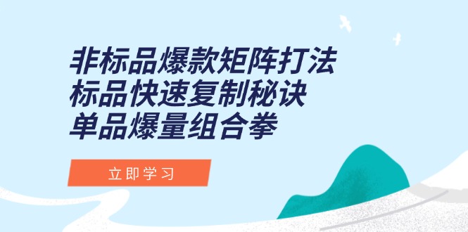 非标品爆款矩阵打法，标品快速复制秘诀，单品爆量组合拳-董叔项目网