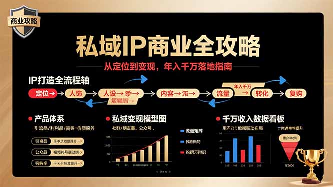私域IP商业全攻略，从定位到变现，年入千万落地指南-董叔项目网