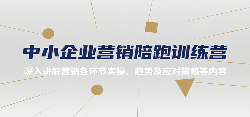 中小企业营销陪跑训练营，深入讲解营销各环节实操、趋势及应对策略等内容-董叔项目网