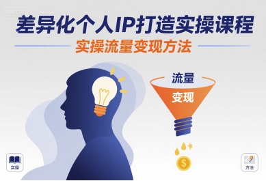 差异化个人IP打造实操课程，实操流量变现方法-董叔项目网