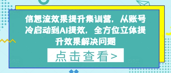 信息流效果提升集训营,从账号冷启动到AI提效,全方位立体提升效果解决问题-董叔项目网