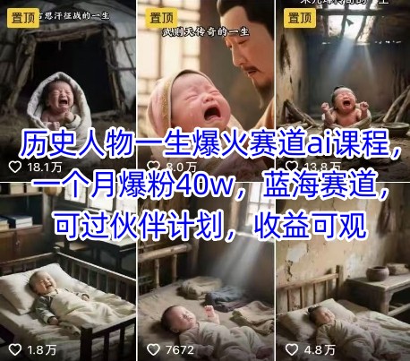 历史人物一生爆火赛道ai课程，一个月爆粉40w，蓝海赛道，可过伙伴计划，收益可观-董叔项目网